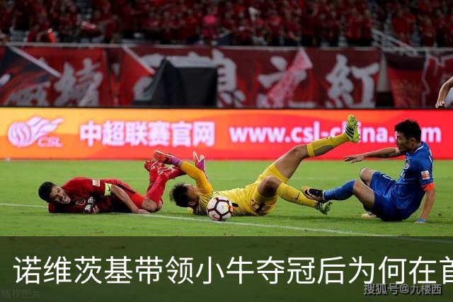 诺维茨基带领小牛夺冠后为何在首轮被扫？背后的真相